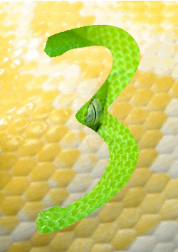 Python 3 green and yellow